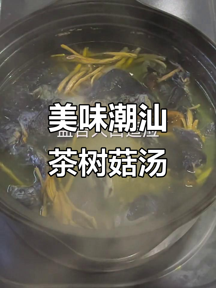 潮汕家常茶树菇乌鸡汤,味道鲜美又滋补