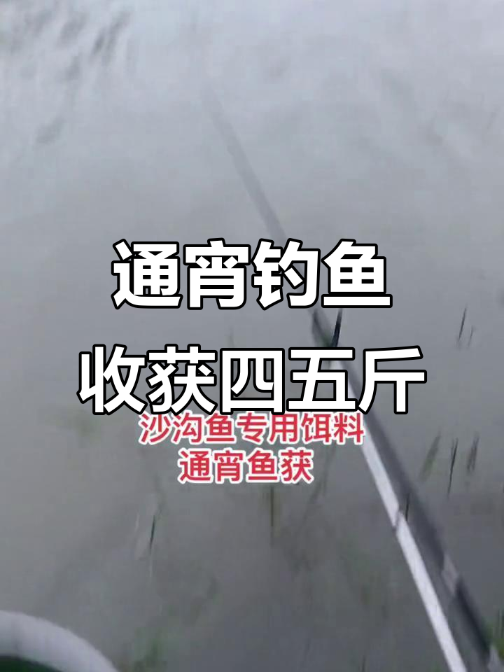 沙沟鱼通宵钓获,四五斤轻松拿下