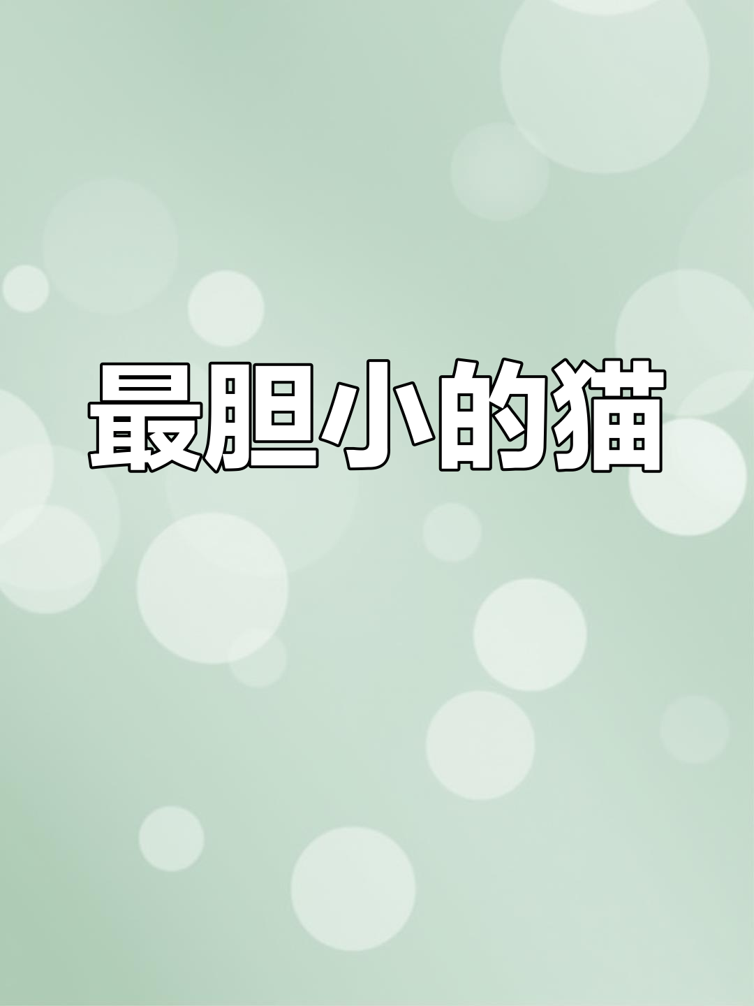 胆子最小的五种猫咪,需要特别呵护