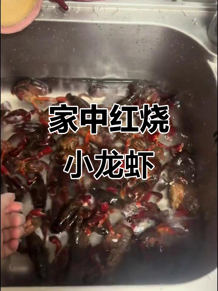在家做红烧龙虾,3斤才60元,超美味!
