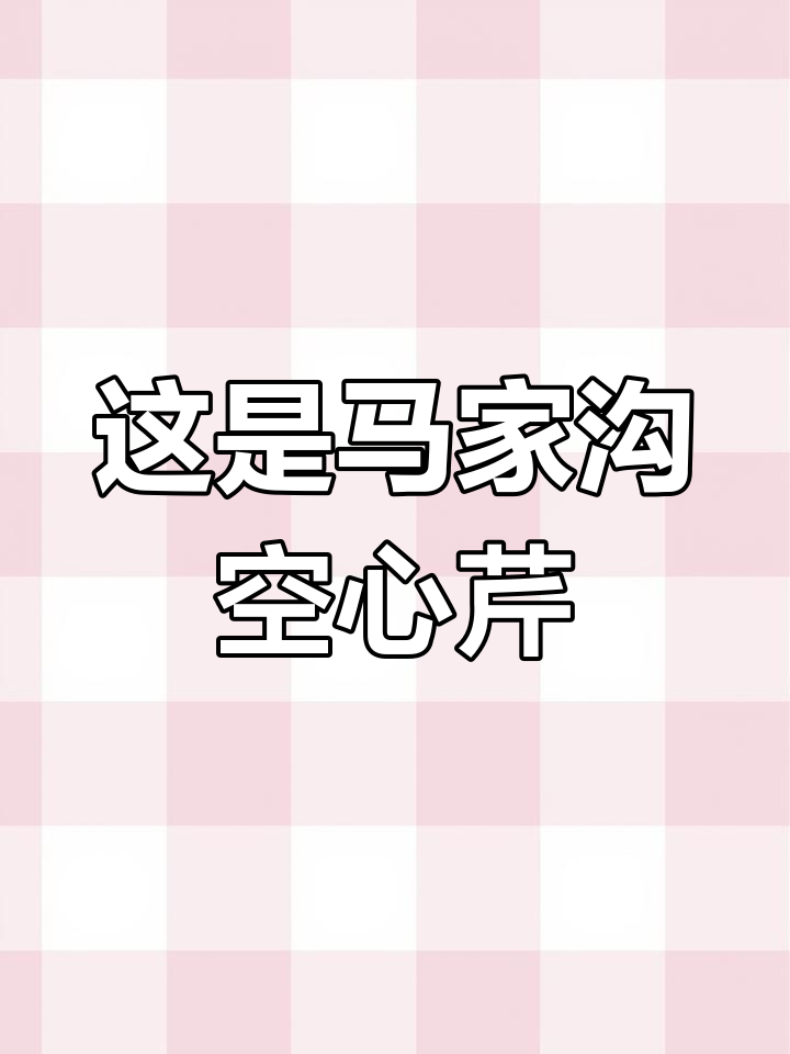 马家沟芹菜是空心菜,绿色食品不容置疑