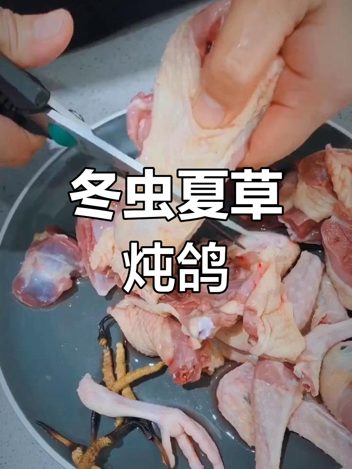 国庆节滋补炖品,冬虫夏草鸽子汤