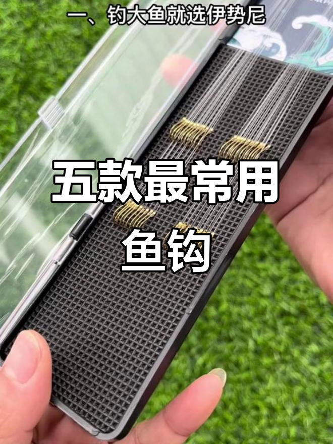 钓鱼必备!五大鱼钩类型,选哪种最适合你?