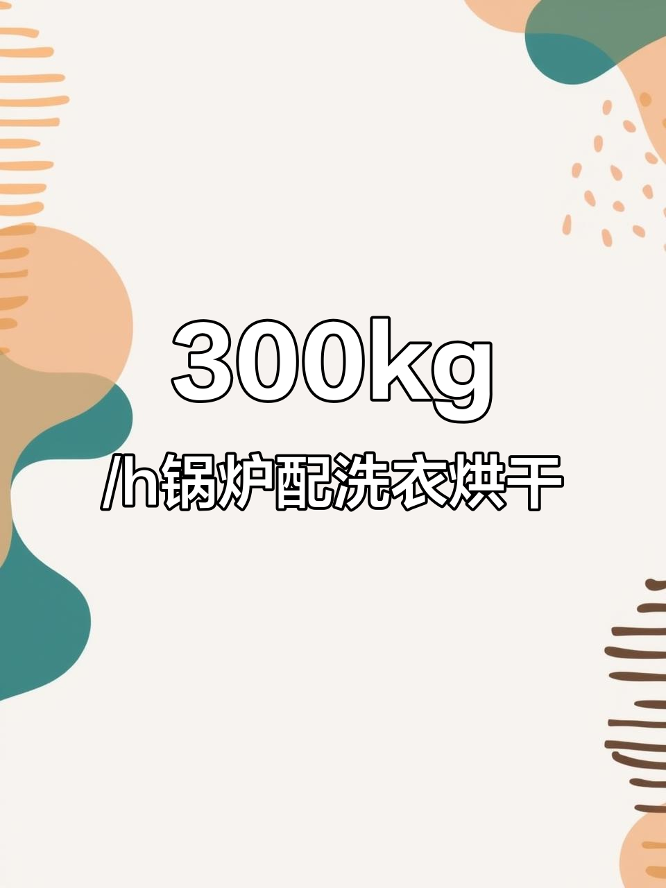 300kg/h生物质锅炉带洗衣机烘干机,蒸汽动力强劲