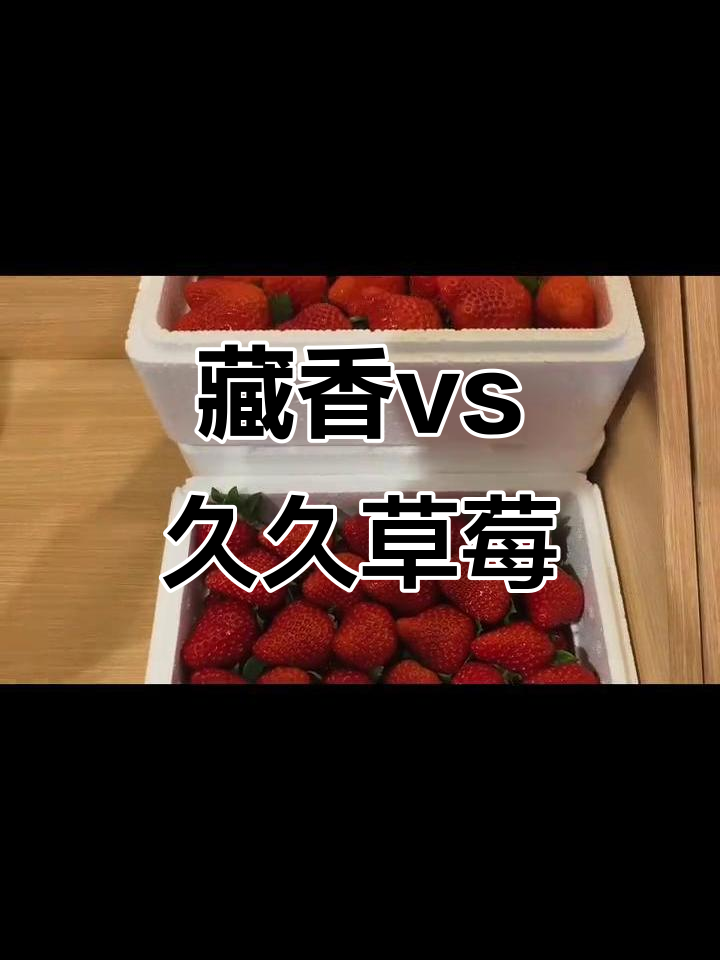 藏香草莓与久久草莓的口感差异,哪个更胜一筹?