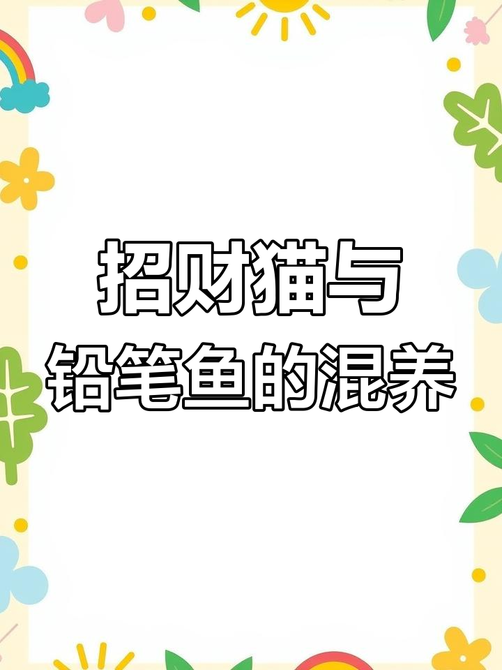 新入手的招财猫和铅笔鱼混养,生活新体验