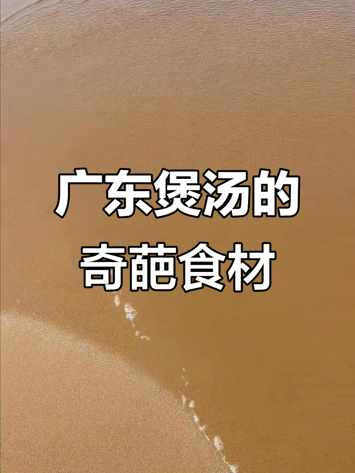 广东汤料大揭秘:从乌鸡白凤丸到榴莲壳,什么都敢放!