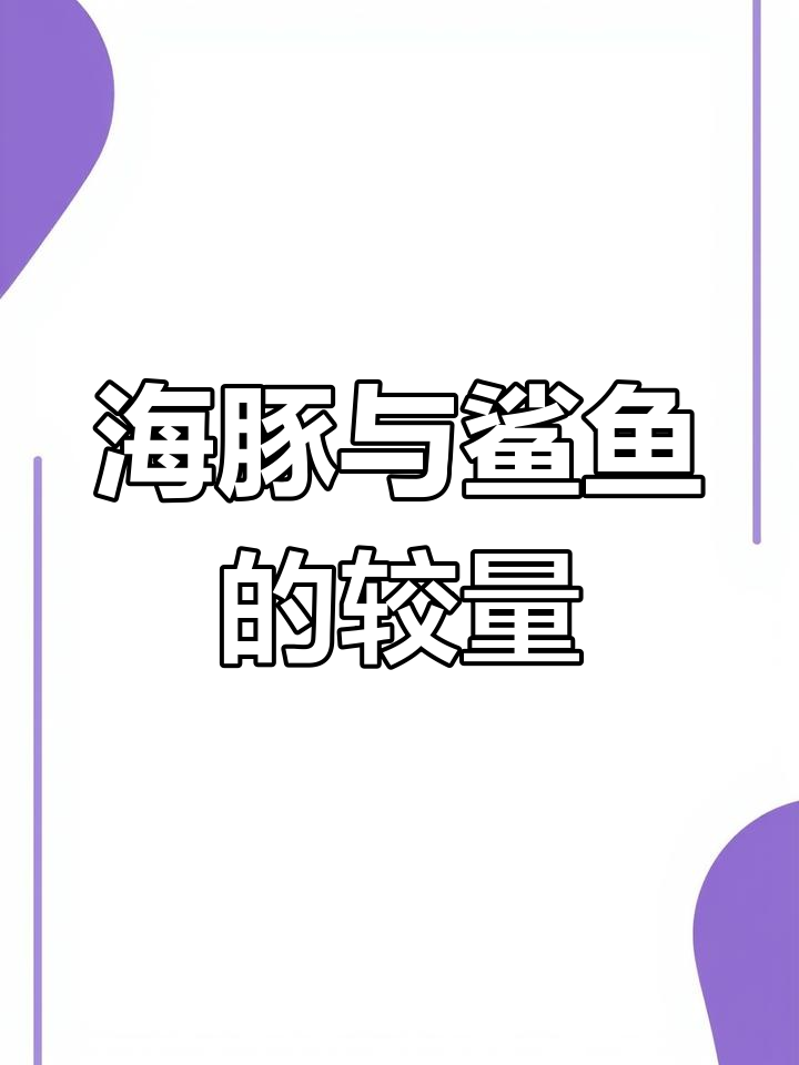 鲨鱼为何怕海豚?这背后隐藏着怎样的生存法则?
