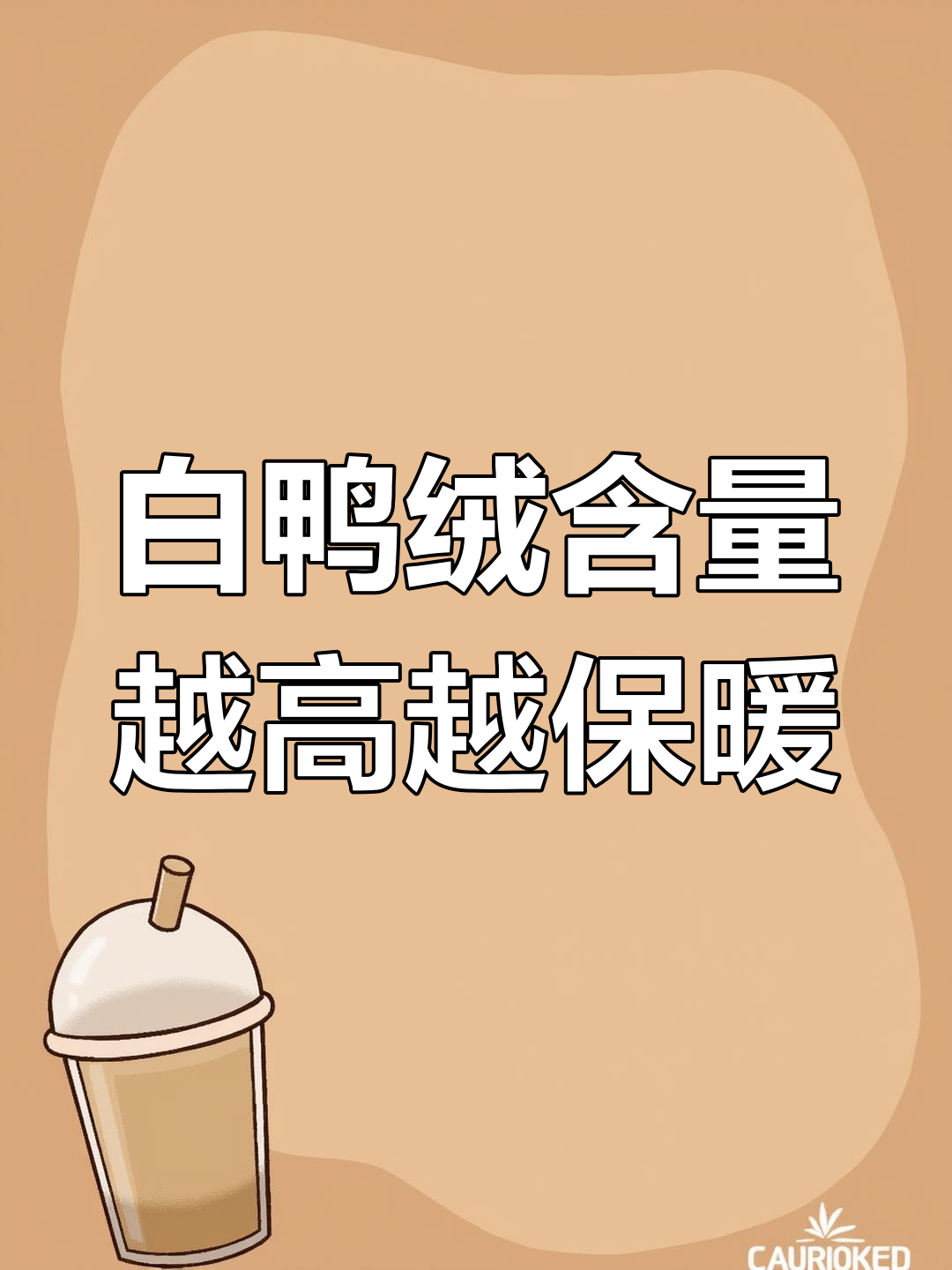 90白鸭绒与羽绒服:哪种更值得买?