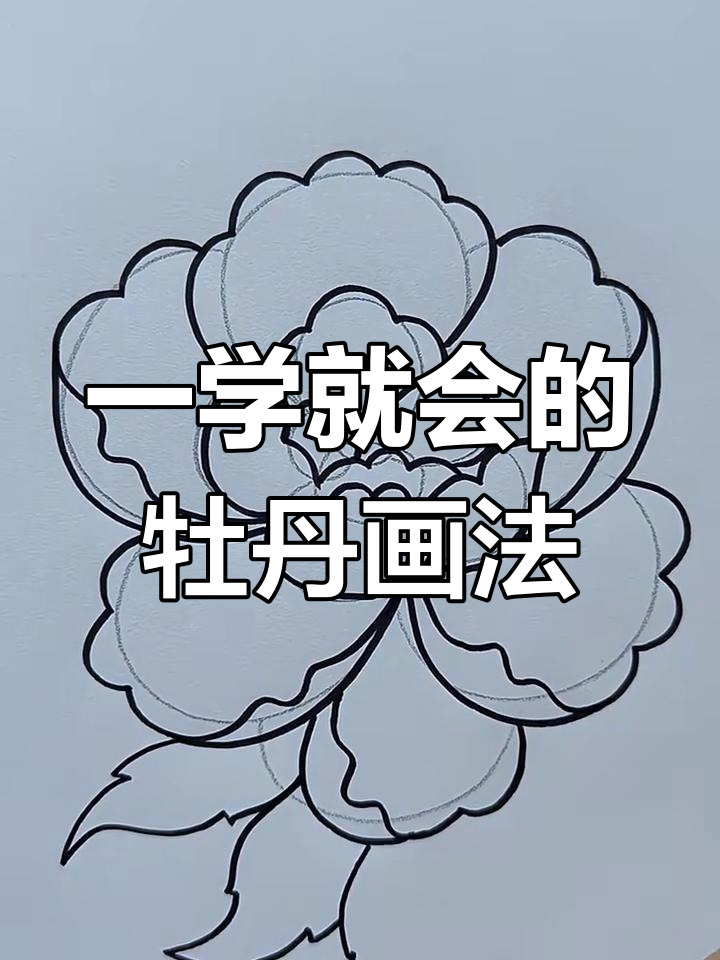 轻松画出牡丹花,简单又好看