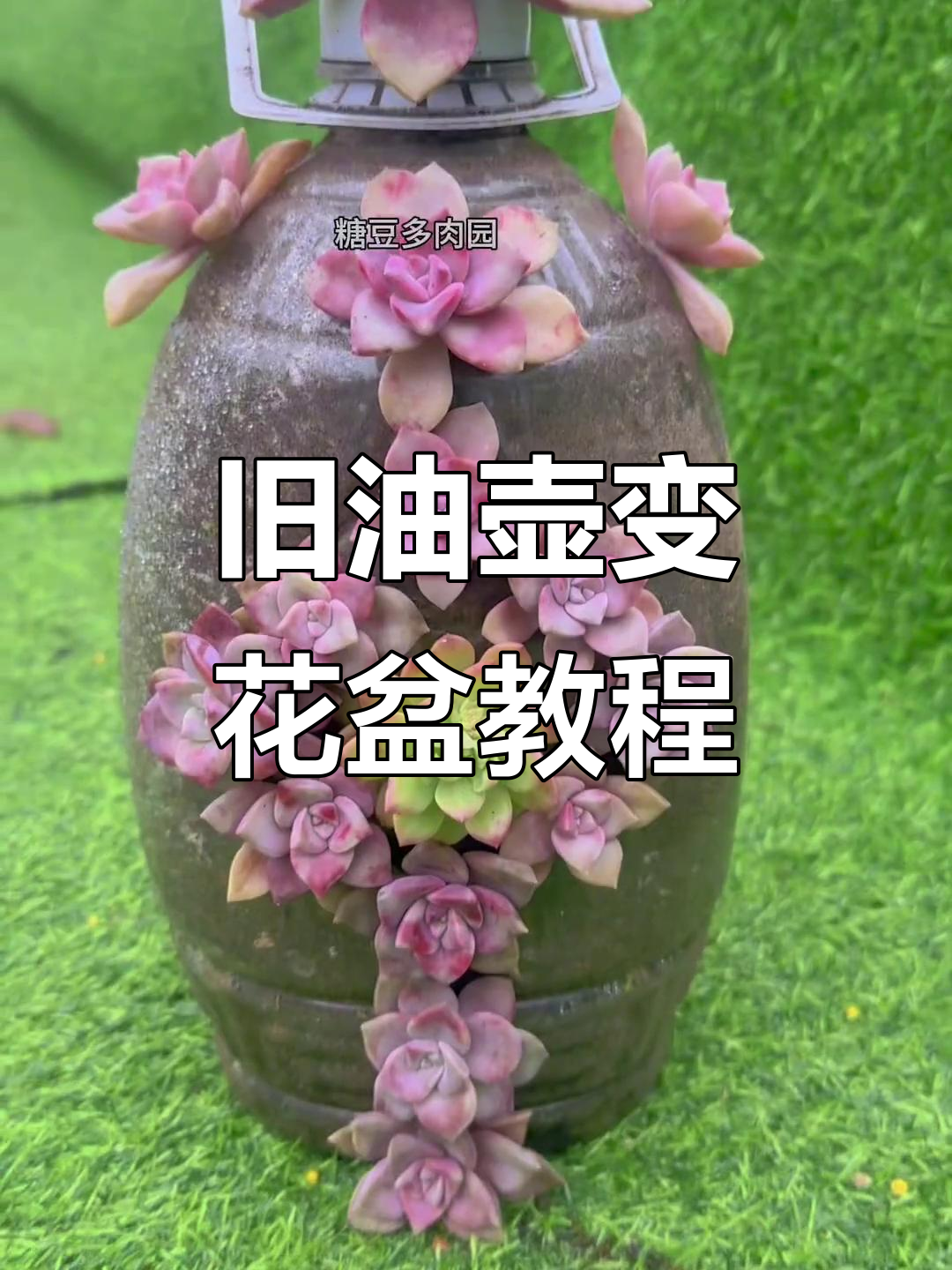 用废油桶做花盆,简单又实用!