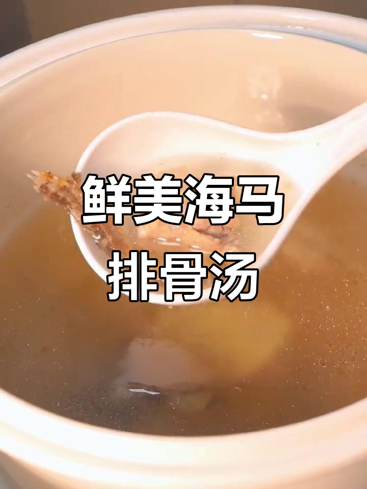 海马排骨汤，滋补又美味，广东靓汤新宠！