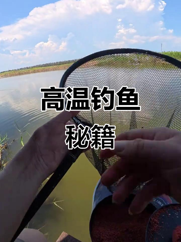 奉贤钓鲻鱼，乌头饵料超诱人，夏季高温也能轻松上钩！