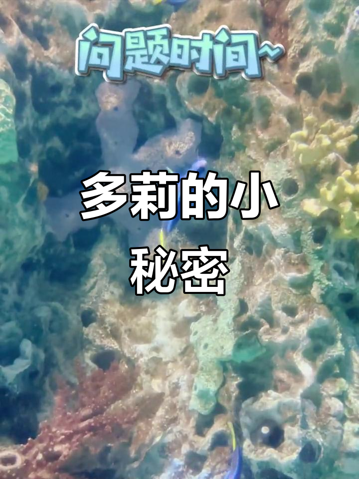 黄尾副刺尾鱼的趣味故事,揭秘多莉的奇妙世界!