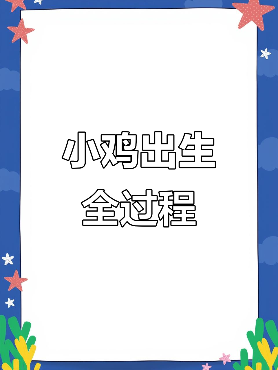 第一只小鸡破壳,母鸡孵蛋全程记录