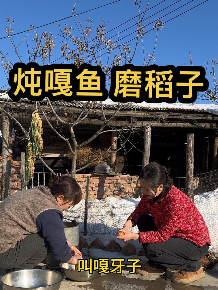 老妈酱焖一锅嘎鱼,我们这边还叫嘎牙子,老仙灵儿了!