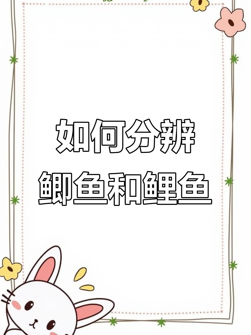 鲫鱼与鲤鱼的形态差异,如何区分它们?