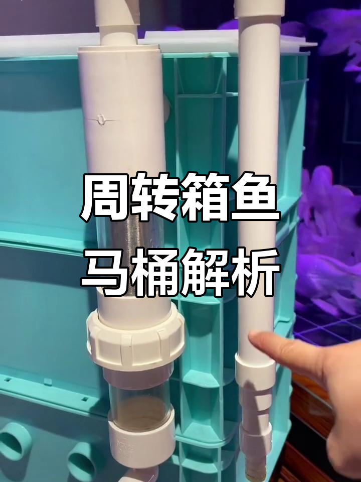 鱼马桶工作原理揭秘：如何减轻过滤负担