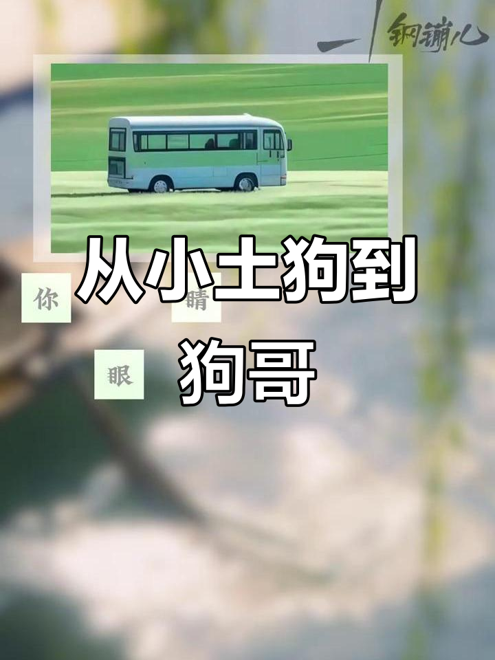 小土狗也能成长为“狗哥”,初一晏航的故事