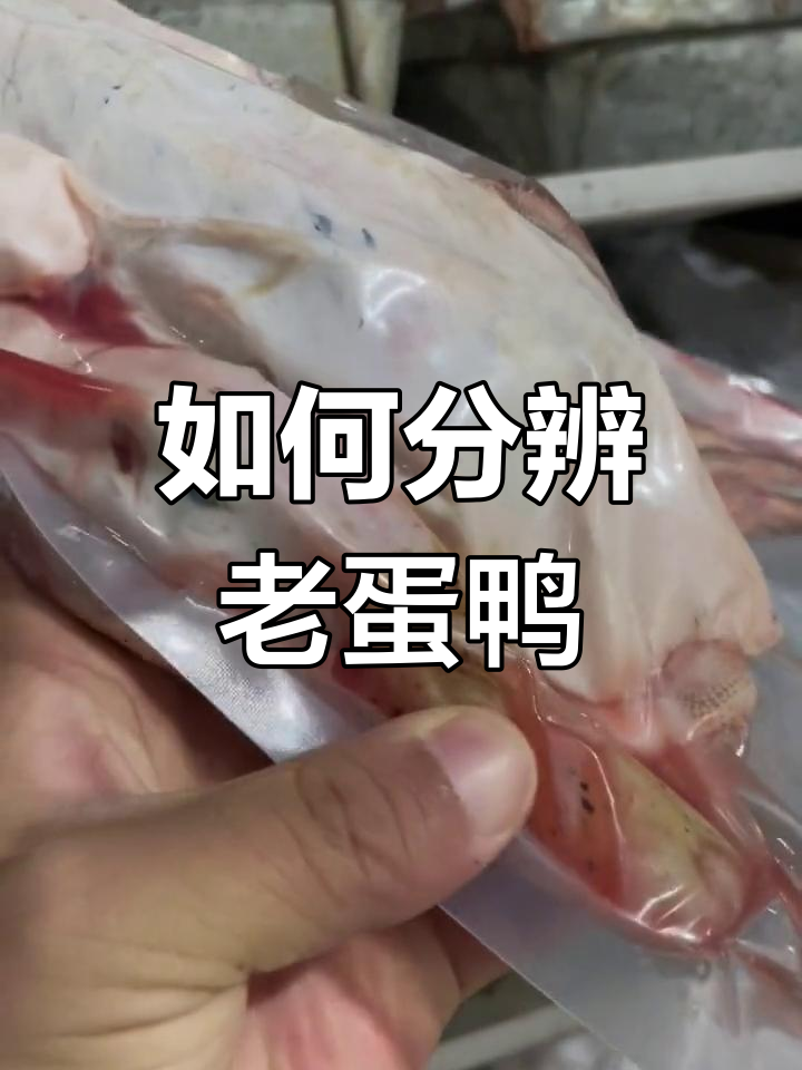 一年老鸭如何辨别?黑斑与硬嘴是关键