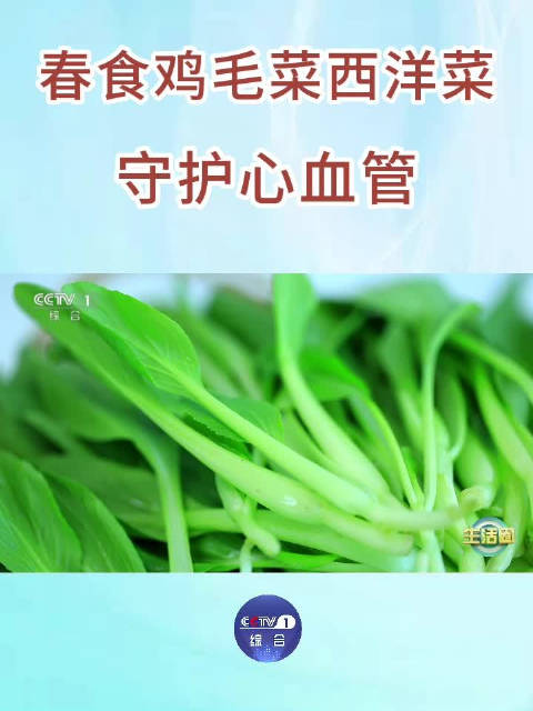 生活服务站「春食鸡毛菜西洋菜守护心血管」春日养生,从餐桌开始!鸡毛菜有助于改善情绪、帮助预