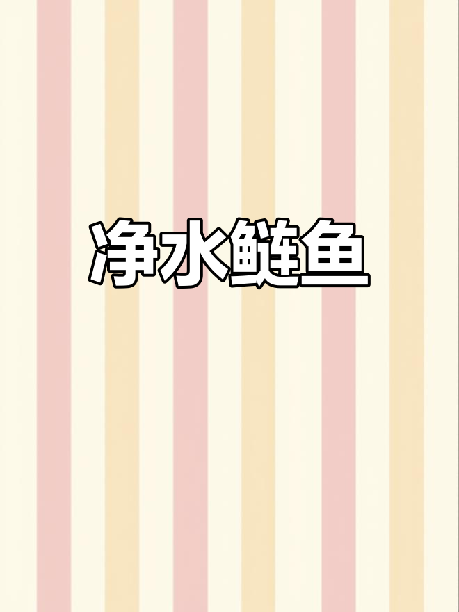 黑花鲢鱼苗,净化水质效果显著,一年长至50斤!