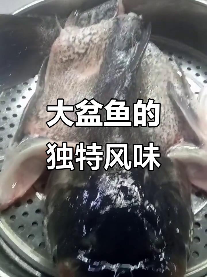 广东大盆鱼,鲜美十足,配料丰富,汤浓味醇