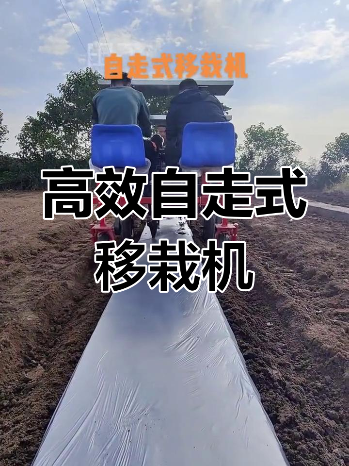 自走式移栽机高效种植蔬菜