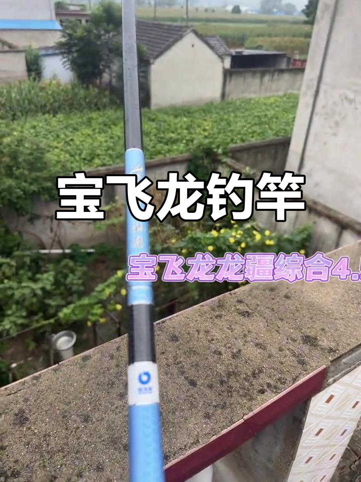 宝飞龙钓竿,品质卓越,竞技首选