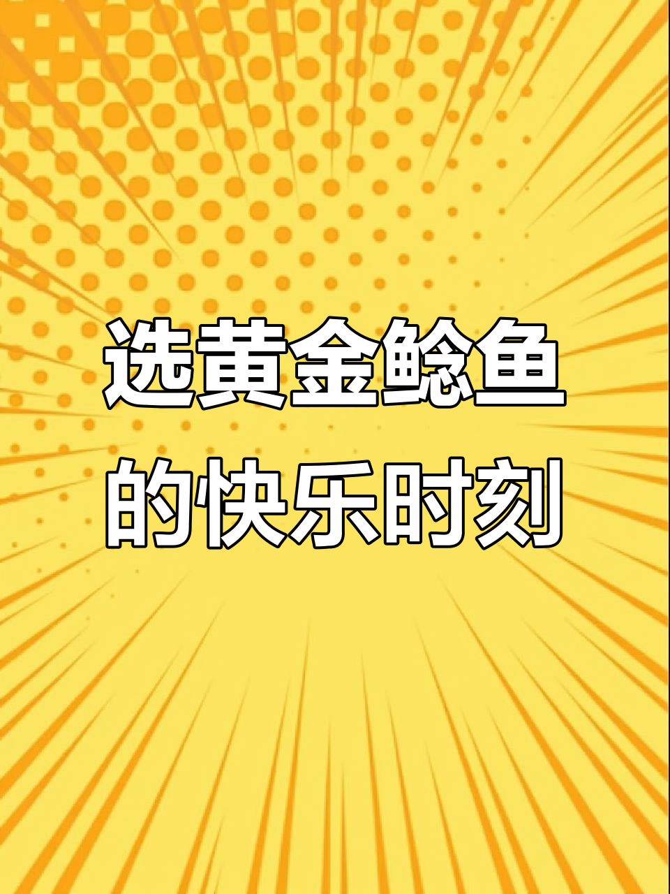 黄金鲶鱼挑选大揭秘,每一条都像宝藏一样让人心动