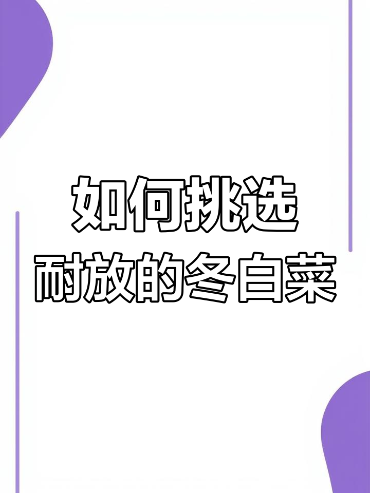 冬季白菜选择指南:黄叶还是绿菜,哪种更耐放?