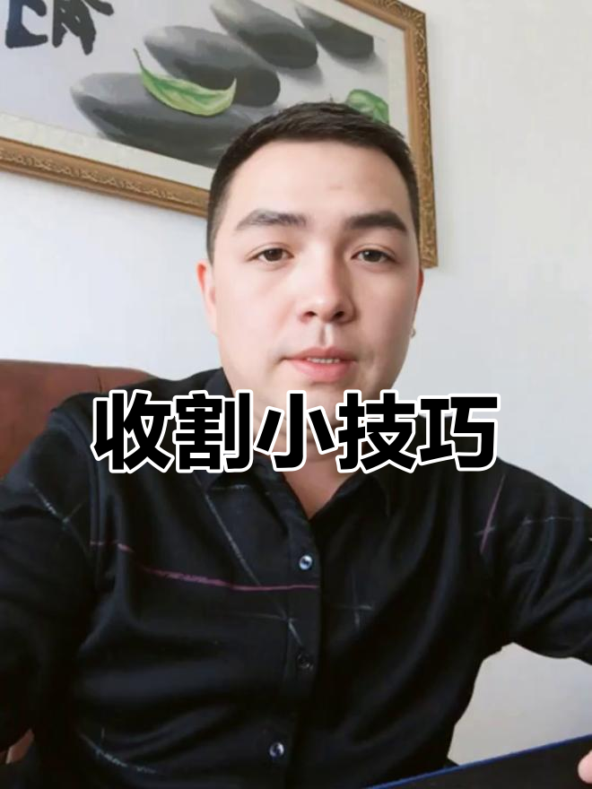 油菜收割有诀窍，三不收割确保颗粒归仓