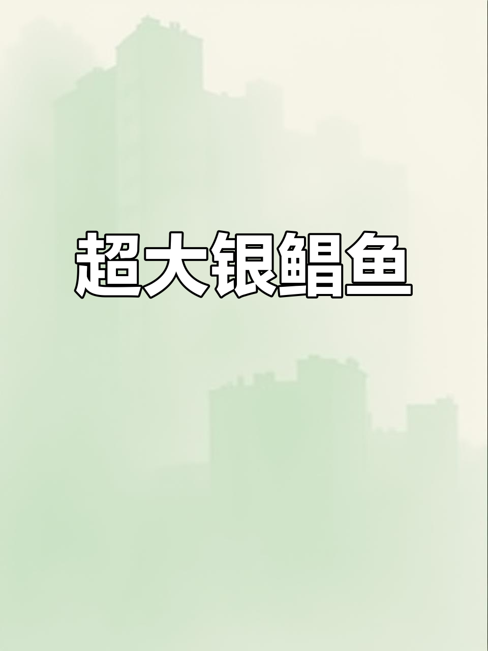 超大银鲳鱼来袭,单条超一斤!