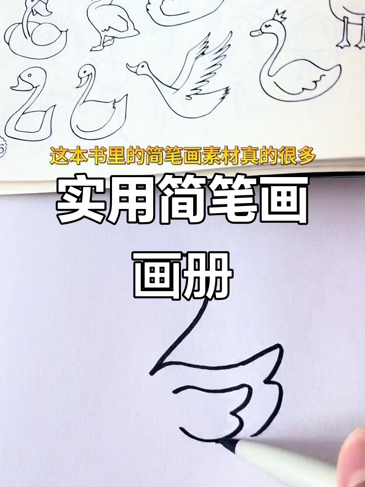 简笔画素材丰富,作业手抄报都能用!