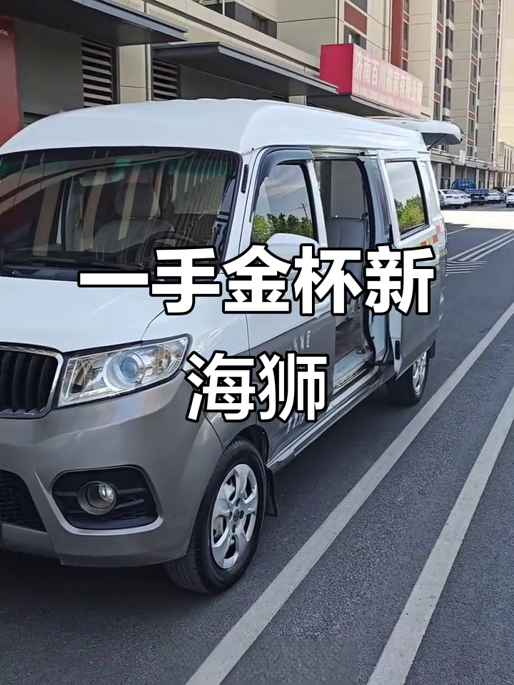 20年一手金杯新海狮货运面包车，八百公里新车况