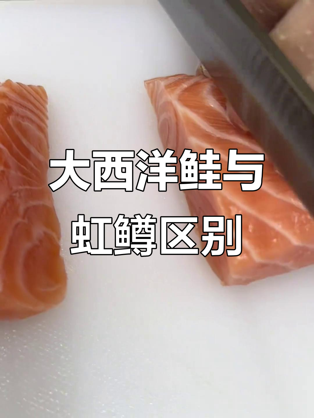 这是大西洋鲑鱼还是虹鳟?油脂丰富让人难以分辨