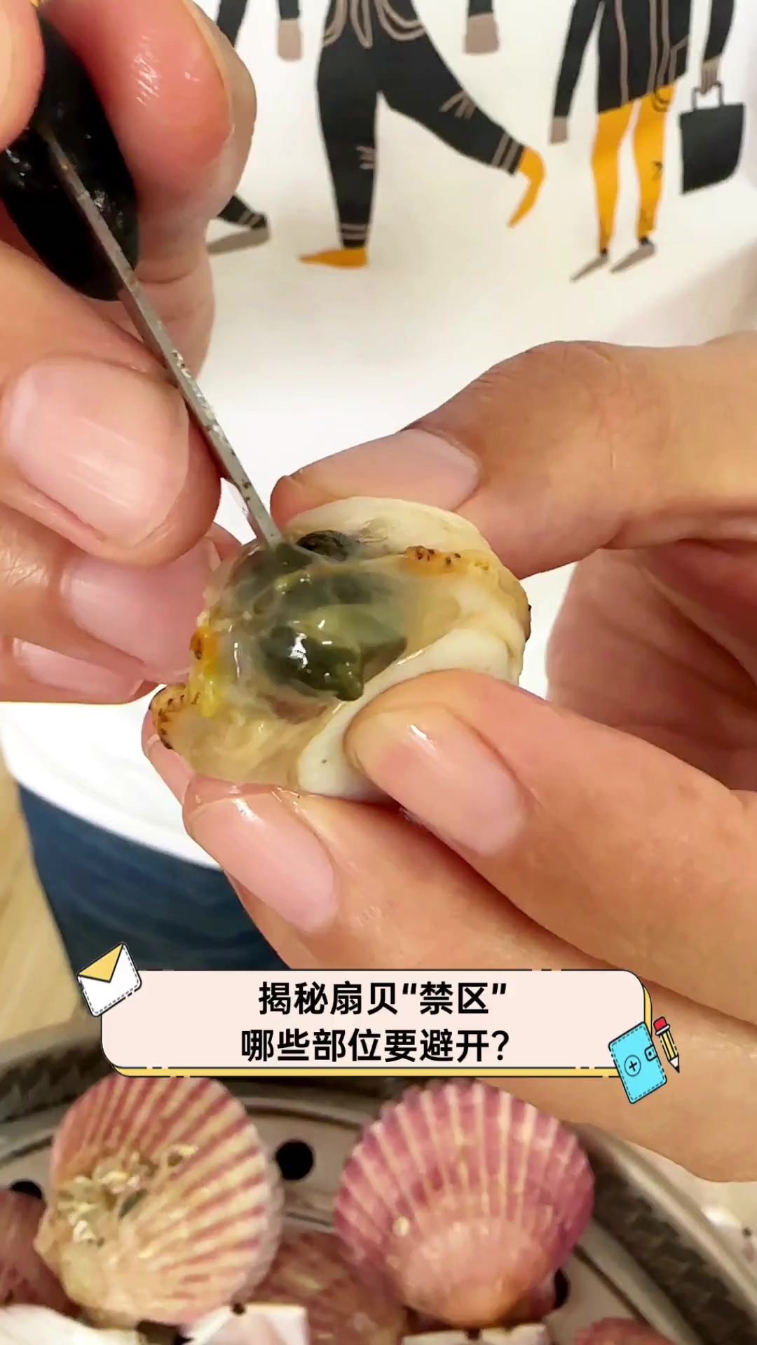 揭秘扇贝“禁区”,哪些部位要避开?