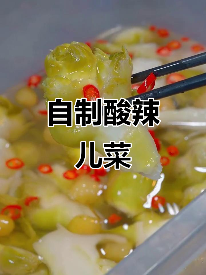 四川儿菜新做法,酸辣脆嫩超开胃