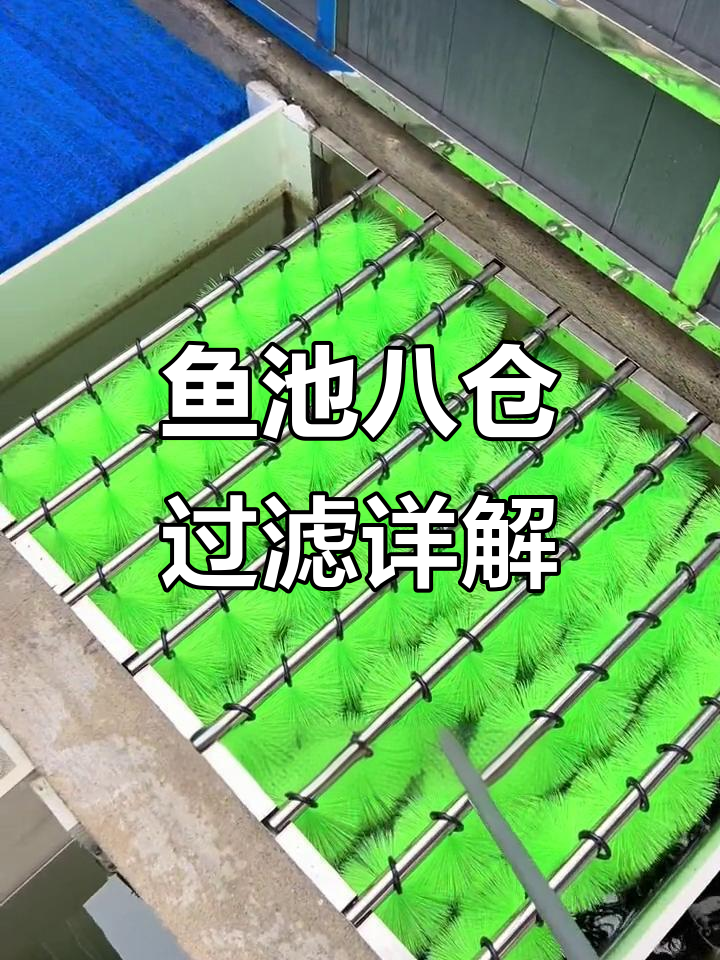 鱼池过滤系统全解析：八大仓位如何协同工作