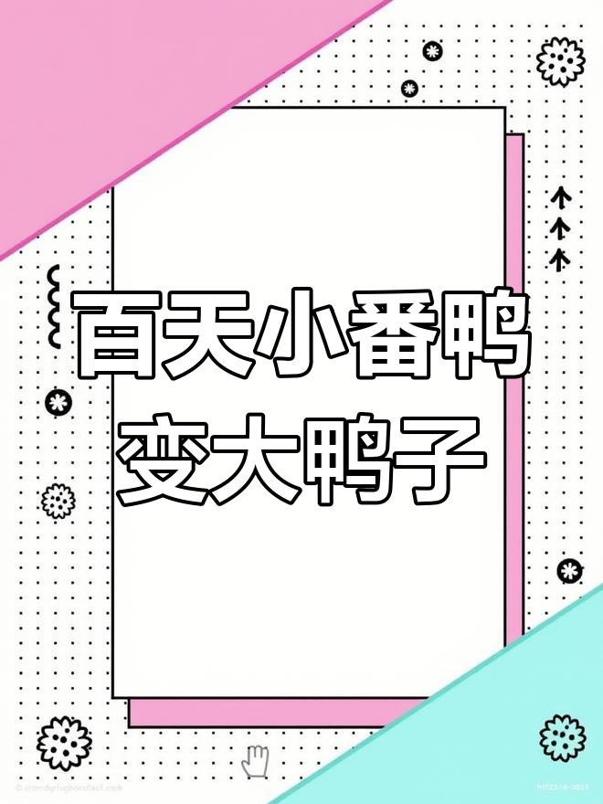 小番鸭成长记,100天后变种鸭