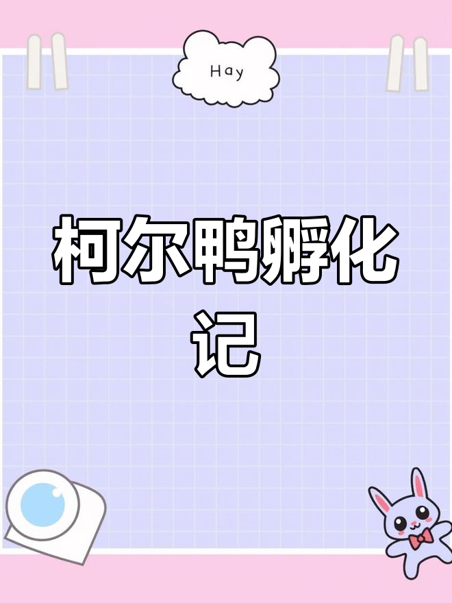 科尔鸭蛋孵化全过程,26天破壳成萌宠