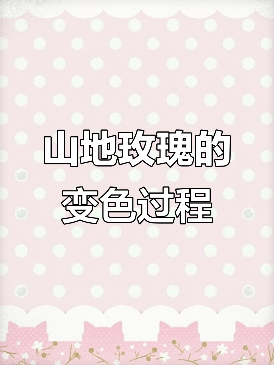 山地玫瑰:从绿色到粉红,休眠期变身美丽花苞