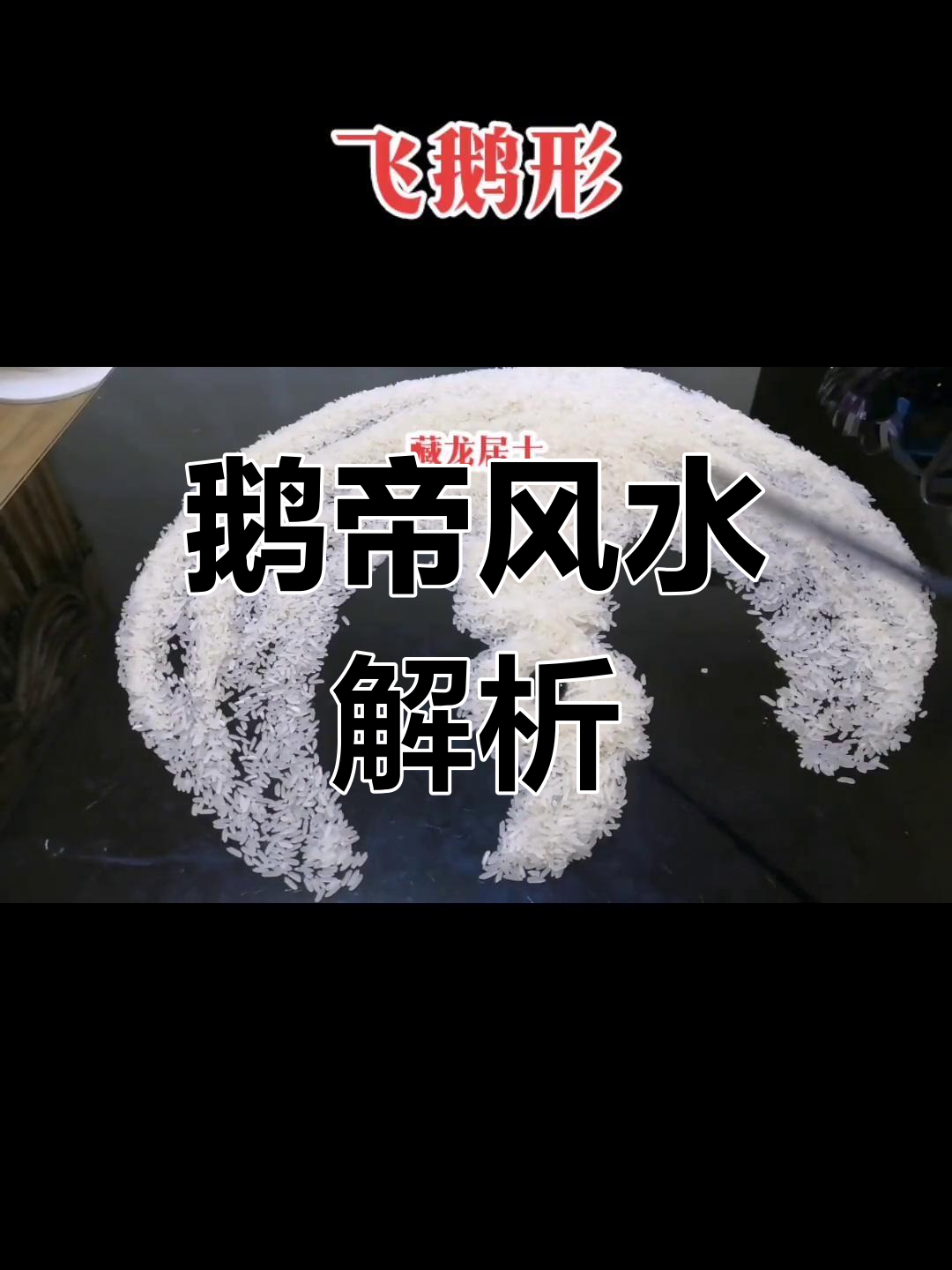 飞蛾形象与风水解读