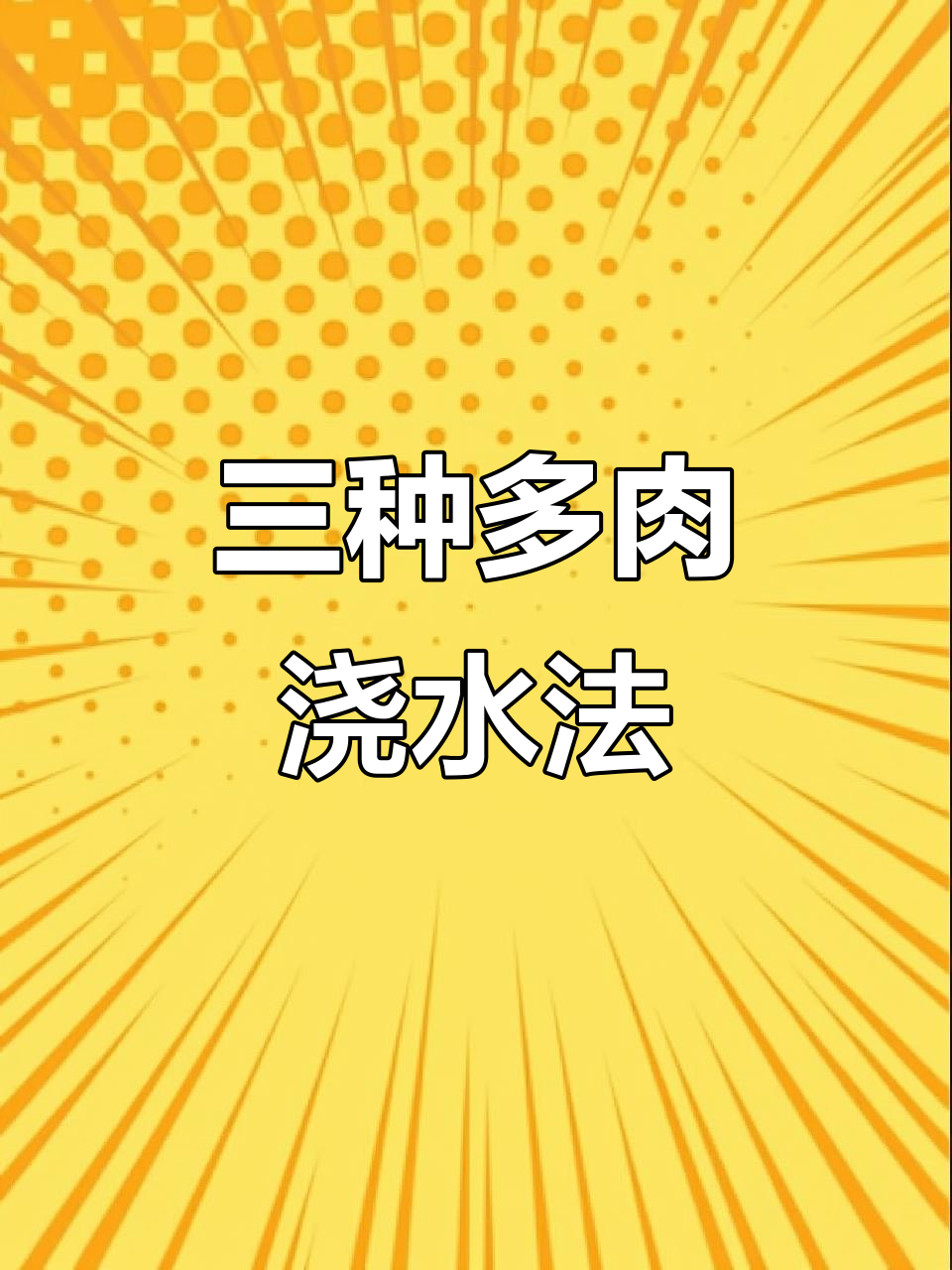 多肉植物浇水技巧:三种方法让你轻松养护