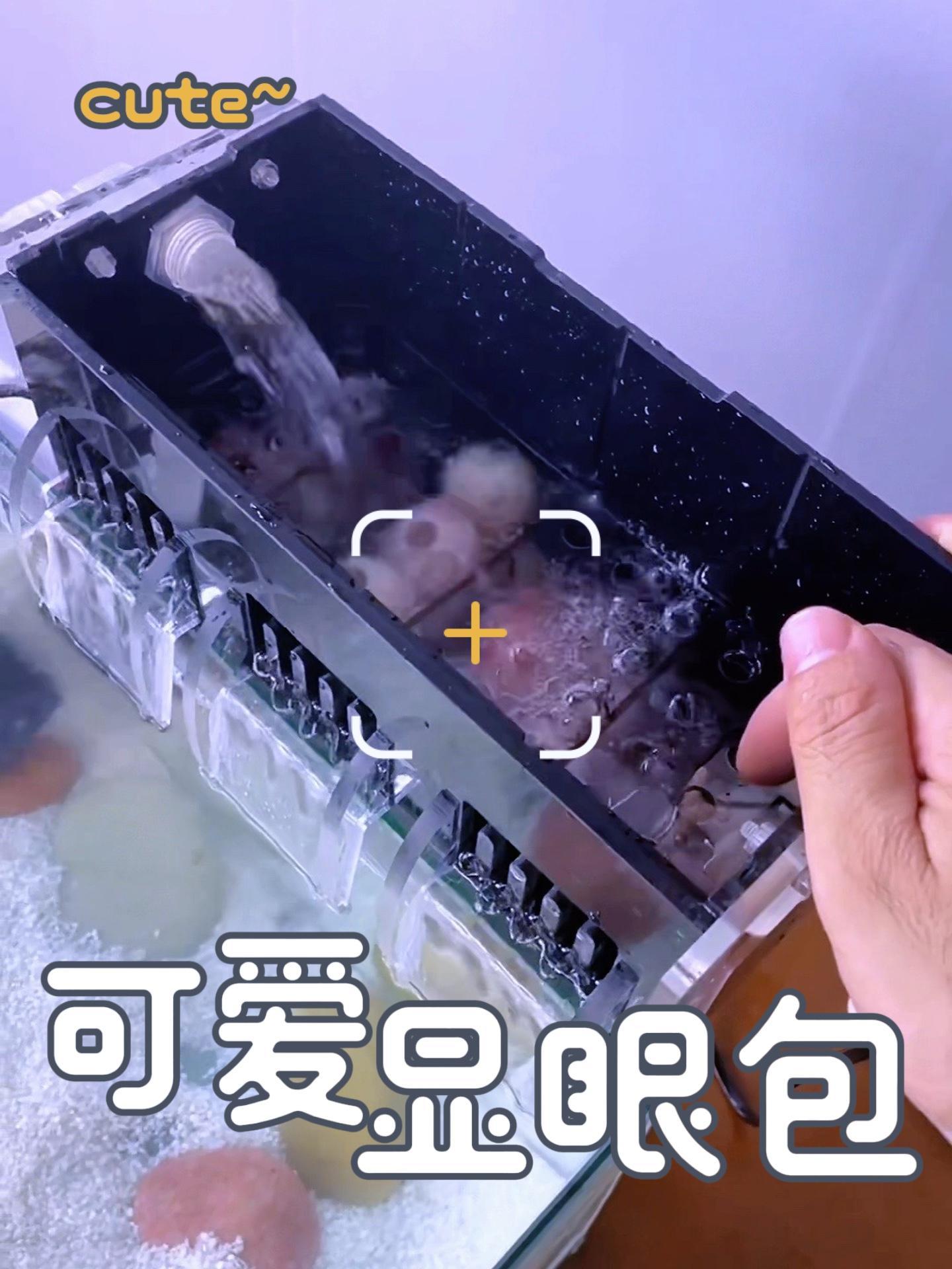 很强的鱼缸过滤盒 养鱼日记 鱼缸过滤 过滤系统 鱼缸水质浑浊的解决办法