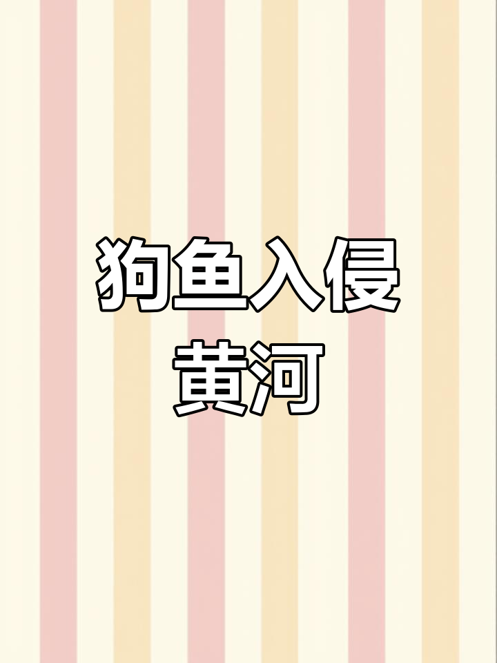 黄河惊现“水下疯狗”,凶猛程度堪比鲨鱼,能活200岁?