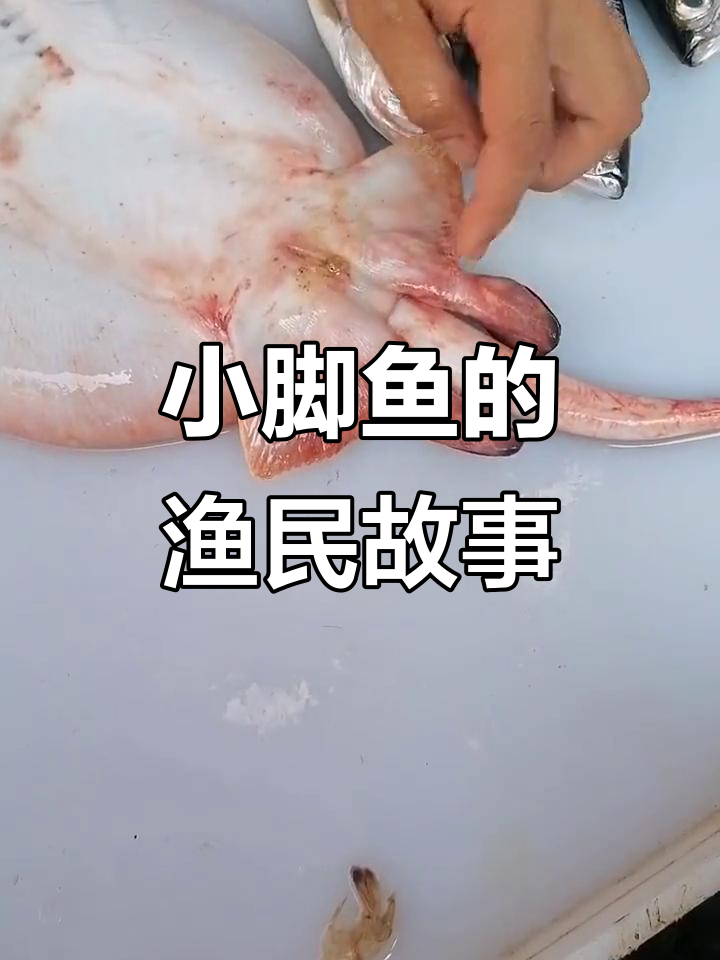 渔民捕捞小脚鱼，竟然这么可爱！
