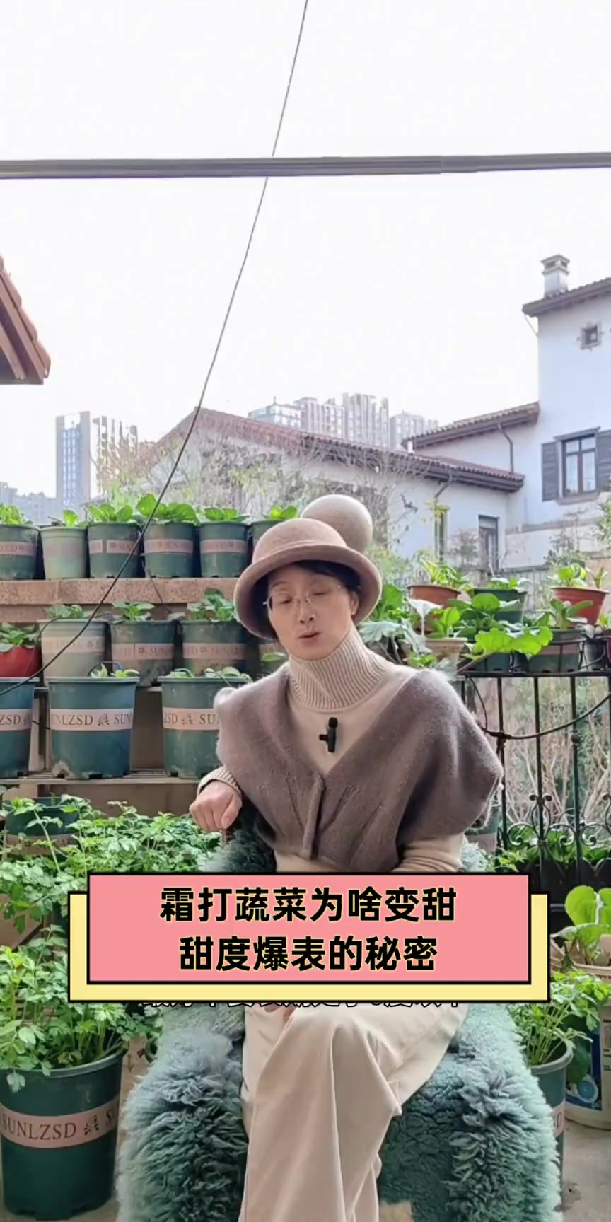 霜打蔬菜为啥变甜,甜度爆表的秘密