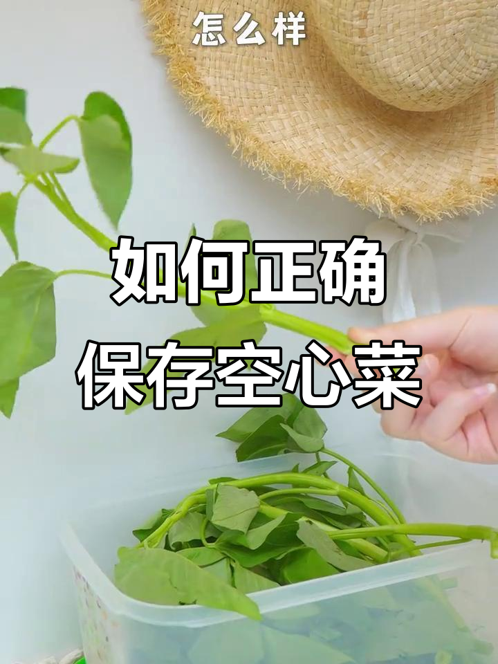 空心菜保存小技巧,冰箱冷藏让它保持新鲜