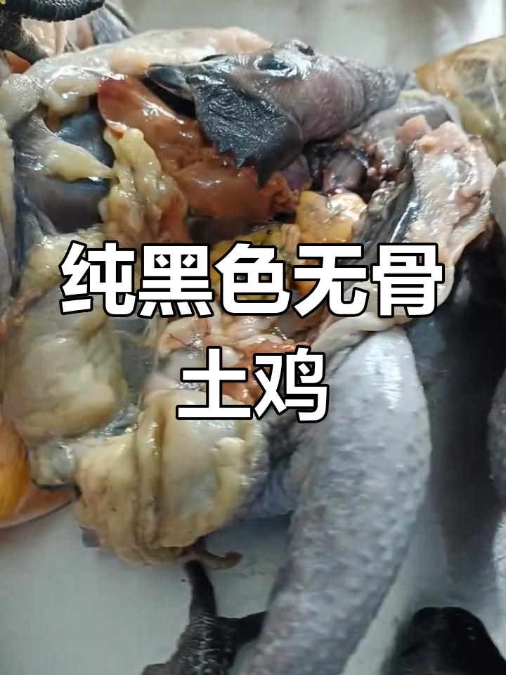 黑毛乌鸡,全身黑得发亮,油和爪都是黑的
